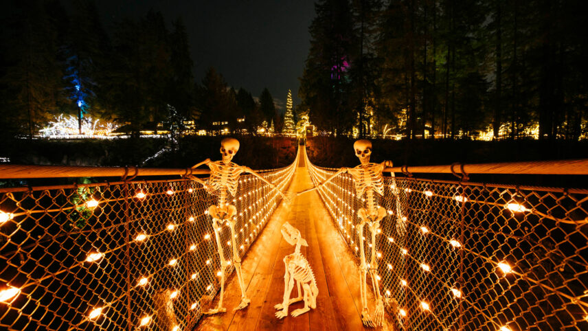 capilano suspension bridge – canyon lights