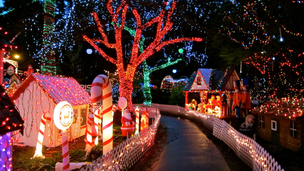 stanley park bright nights